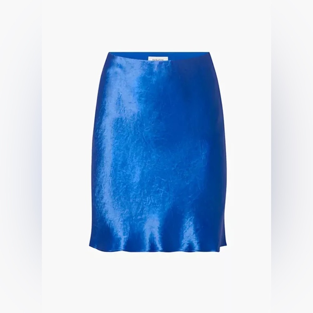 Aritzia Babaton Slip Mini Skirt